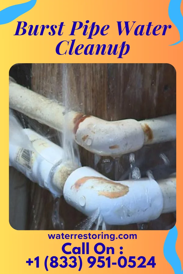 Burst Pipe Water Cleanup in Burnettown, SC