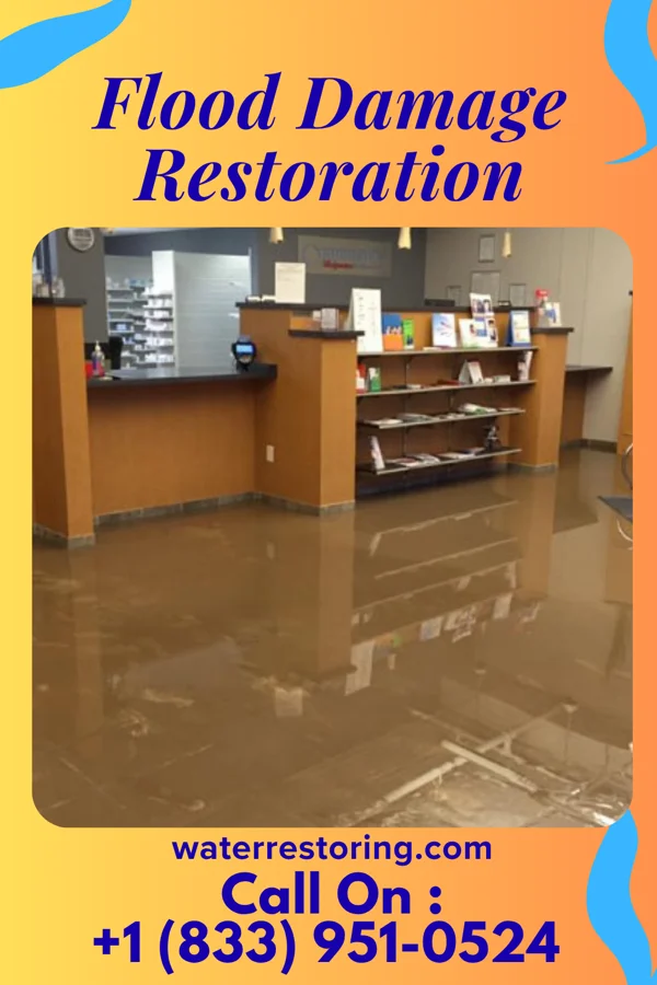 Flood Damage Restoration in Burnettown, SC