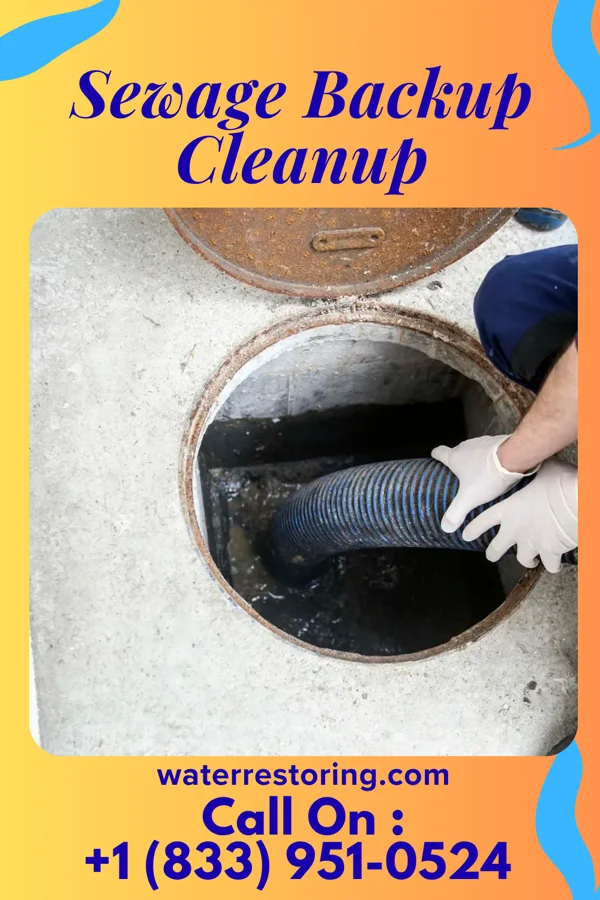 Sewage Backup Cleanup in Burnettown, SC