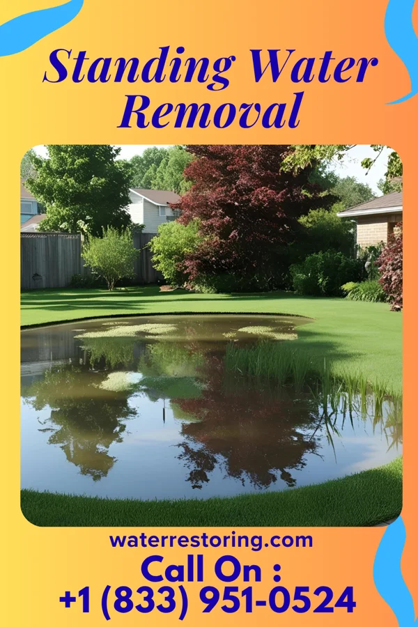 Standing Water Removal in Burnettown, SC